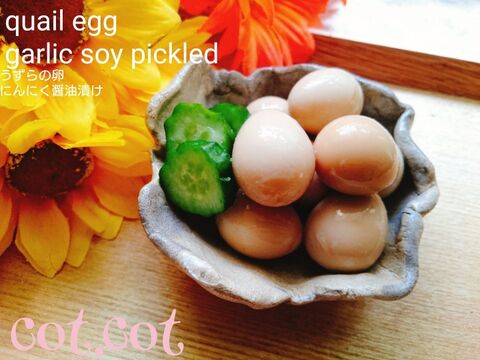 78c Bfzvcijenm 78c Bfzvcijenm