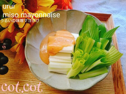 旬の野菜 うるいの味噌マヨネーズがけ 暮らしニスタ 旬の野菜 うるいの味噌マヨネーズがけ 暮らしニスタ