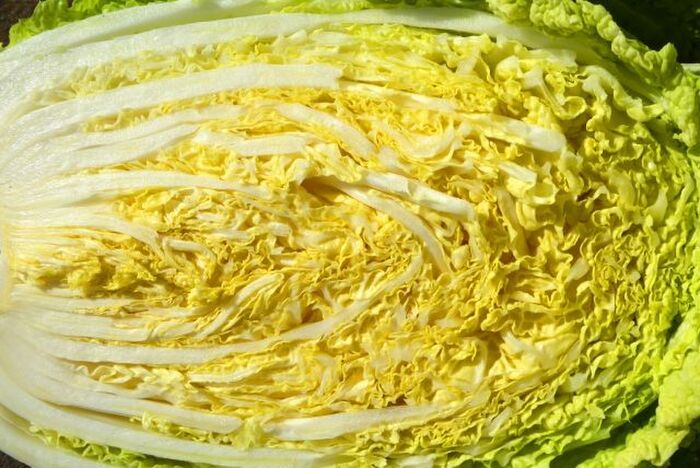 自家製 白菜の漬物の作り方を学ぼう 作りやすい基本のレシピを公開 暮らしニスタ 自家製 白菜の漬物の作り方を学ぼう 作りやすい基本のレシピを公開 暮らしニスタ