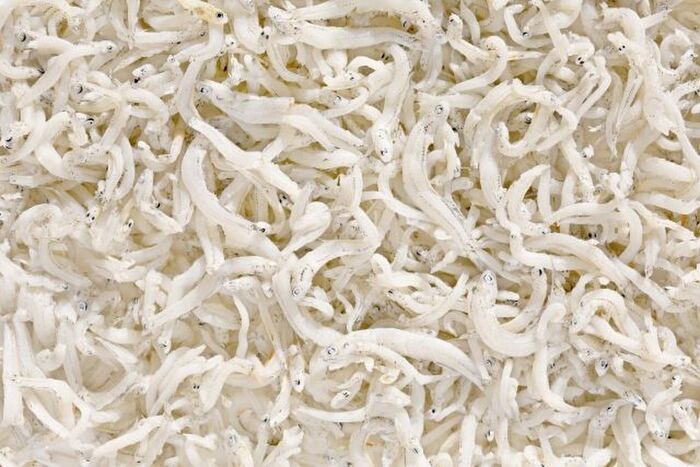 しらすの冷凍保存方法が知りたい 解凍方法やレシピまで徹底解説 暮らしニスタ しらす は骨ごと食べられてカルシウムたっぷ dメニューニュース Nttドコモ しらすの冷凍保存方法が知りたい 解凍方法やレシピまで徹底解説 暮らしニスタ しらす は骨ごと食べられてカルシウムたっぷ dメニューニュース Nttドコモ