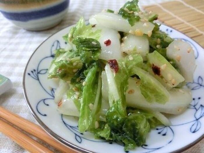 自家製 白菜の漬物の作り方を学ぼう 作りやすい基本のレシピを公開 暮らしニスタ 自家製 白菜の漬物の作り方を学ぼう 作りやすい基本のレシピを公開 暮らしニスタ