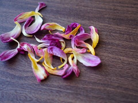 どんなお花も 枯れ始めたらドライにしてみよう 暮らしニスタ どんなお花も 枯れ始めたらドライにしてみよう 暮らしニスタ