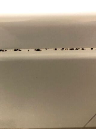 110円でここまでカビが落ちる 白さが蘇るカビ取りジェル 暮らしニスタ 110円でここまでカビが落ちる 白さが蘇るカビ取りジェル 暮らしニスタ