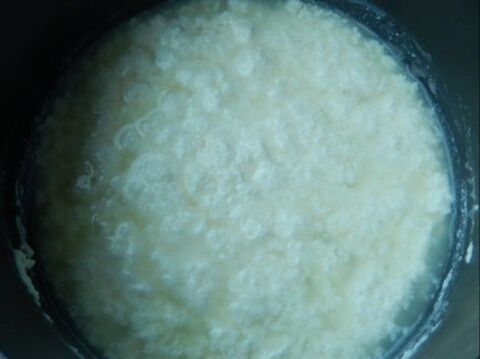 すだちと牛乳で作るリコッタチーズ 暮らしニスタ すだちと牛乳で作るリコッタチーズ 暮らしニスタ