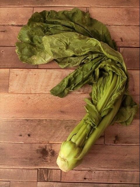 材料2つ ザーサイのすし酢漬け 暮らしニスタ