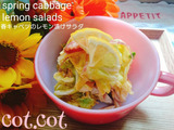 ★今が一番おいしい。春キャベツのレモン漬けサラダ★