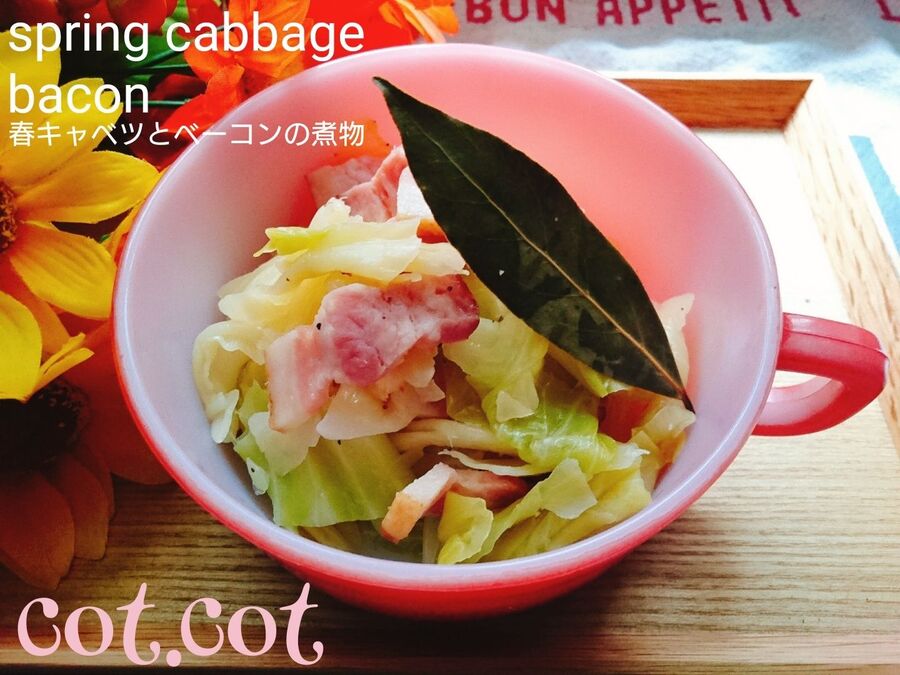 油不使用 キャベツにベーコンの出汁が染み込む 春キャベツとベーコンの煮物 暮らしニスタ