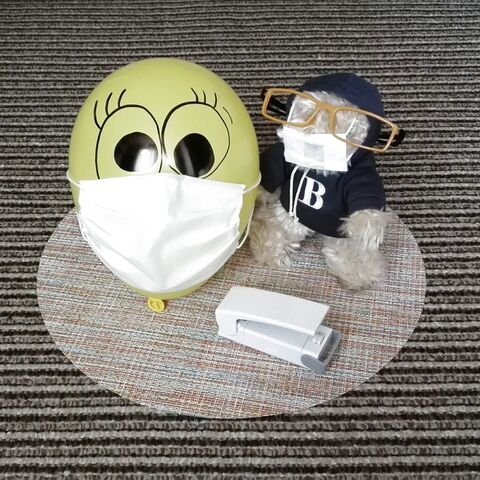 保存版 不織布マスクは シーラーで熱接着 暮らしニスタ 保存版 不織布マスクは シーラーで熱接着 暮らしニスタ