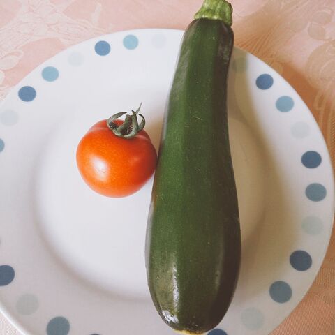 5分レンチンするだけ ズッキーニとトマトのチーズ焼き 暮らしニスタ 5分レンチンするだけ ズッキーニとトマトのチーズ焼き 暮らしニスタ