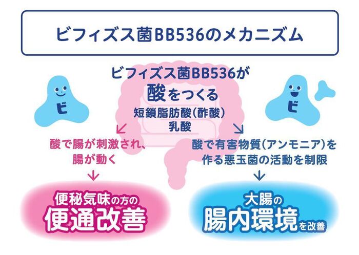 ヨーグルト業界初 1 便通改善に特化したヨーグルトが新発売 便秘気味の 暮らしニスタ が試してみたら 暮らしニスタ