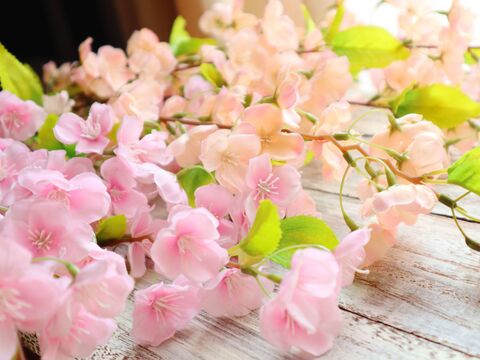 おうちでお花見を延長 ナチュラル桜リース 暮らしニスタ おうちでお花見を延長 ナチュラル桜リース 暮らしニスタ