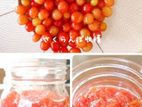 庭のさくらんぼの木から収穫(自家製ジャム作り)