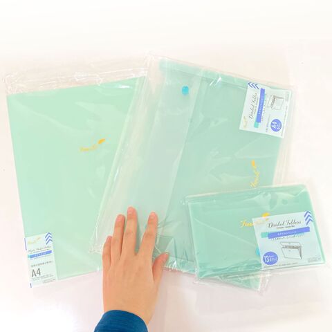 ダイソーのセクションファイル Divided Foldersで整理整頓 暮らしニスタ ダイソーのセクションファイル Divided Foldersで整理整頓 暮らしニスタ