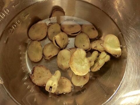 乾燥そら豆の甘煮 暮らしニスタ 乾燥そら豆の甘煮 暮らしニスタ