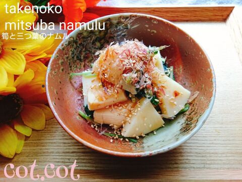 定番と旬の筍を使ってナムル2種類 暮らしニスタ 定番と旬の筍を使ってナムル2種類 暮らしニスタ