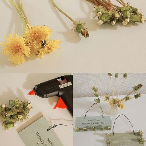 ふわふわ 可愛い タンポポの綿毛 はノスタルジックなドライフラワーになりますよ 暮らしニスタ ふわふわ 可愛い タンポポの綿毛 はノスタルジックなドライフラワーになりますよ 暮らしニスタ