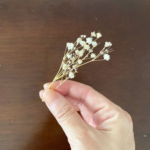 初心者が初めてチャレンジでドライフラワーを試してみた結果思いの外インテリアの一部に 暮らしニスタ 初心者が初めてチャレンジでドライフラワーを試してみた結果思いの外インテリアの一部に 暮らしニスタ