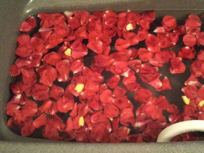 ④浴槽にお湯をはり、花びらを入れ♡薔薇の花びら風呂♡