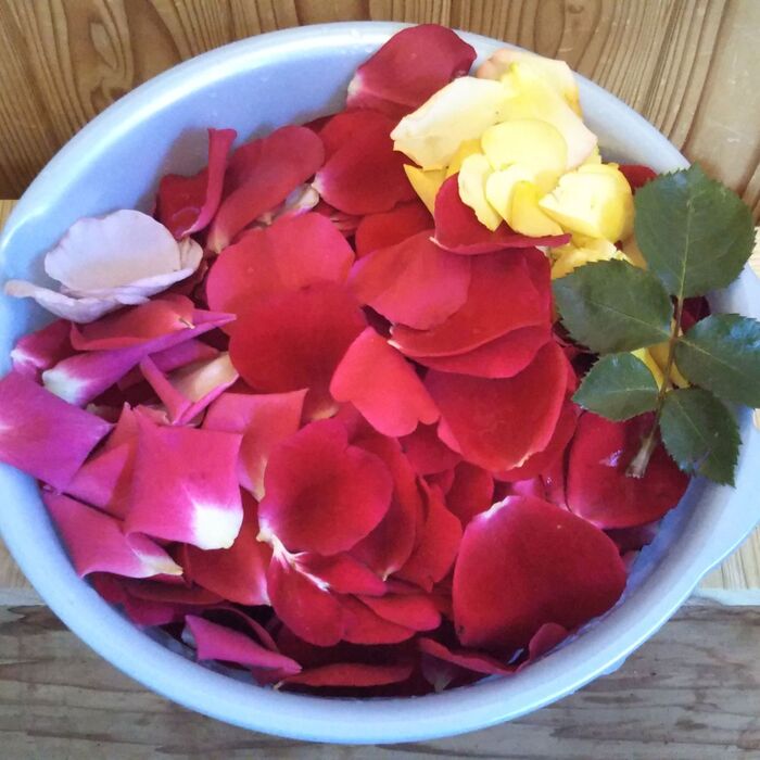 花びらが散り始めたり、今にも散りそうな薔薇…捨てないで！優雅な気分を味わえます！