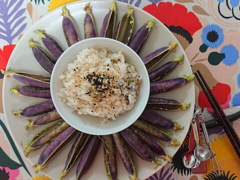 ツタンカーメンと言う名の 豆ごはん 暮らしニスタ