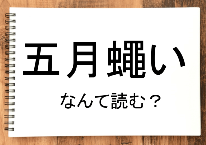 【五月蠅い】って読める?読めない!「読みたい漢字ファイル」vol.37