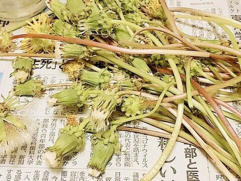 タンポポの綿毛で リース を作りました お部屋がお洒落になりますよ 暮らしニスタ タンポポの綿毛で リース を作りました お部屋がお洒落になりますよ 暮らしニスタ