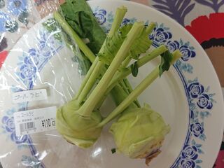 まるで エイリアン キャベツの仲間 暮らしニスタ まるで エイリアン キャベツの仲間 暮らしニスタ