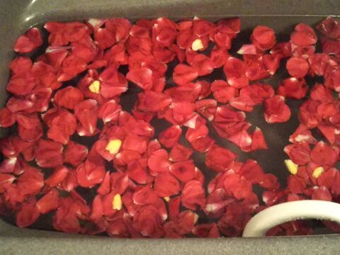 薔薇の花びら風呂の後も 花びらを捨てないで まだまだ目と鼻で楽しめます 暮らしニスタ 薔薇の花びら風呂の後も 花びらを捨てないで まだまだ目と鼻で楽しめます 暮らしニスタ