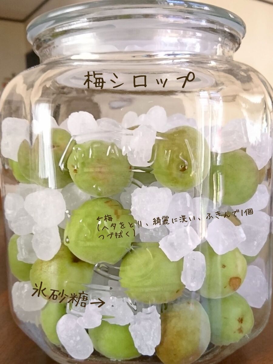 ニトリのガラス容器に梅シロップ漬けました 料理のレシピや作り方 暮らしニスタ ニトリのガラス容器に梅シロップ漬けました 料理のレシピや作り方 暮らしニスタ