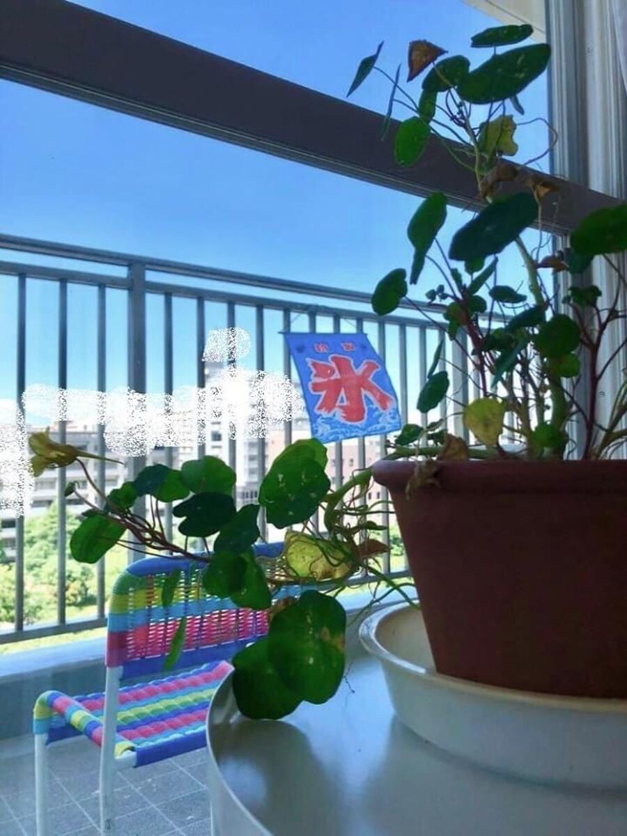 レトロ可愛い ダイソー 氷のれん 暮らしニスタ