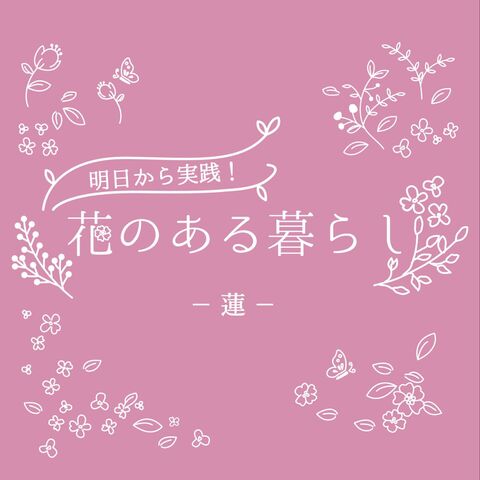 蓮 ハス をもっと知ろう 花言葉や豆知識 暮らしニスタ 蓮 ハス をもっと知ろう 花言葉や豆知識 暮らしニスタ