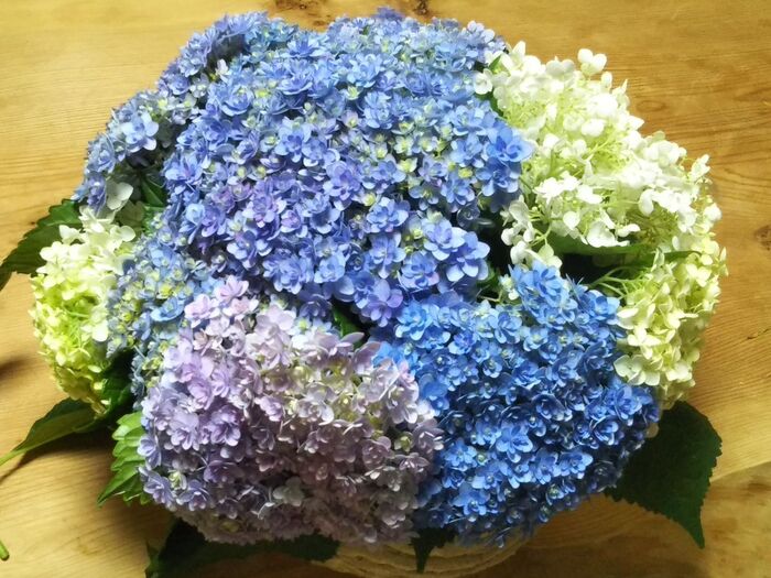 ♡紫陽花（アジサイ）ブーケ♡てまりのような紫陽花をブーケ風に花瓶に生ける〜