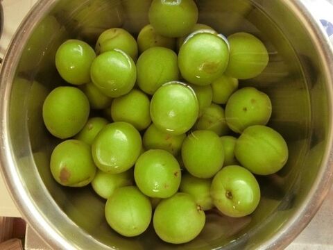 冷凍梅 梅酒 暮らしニスタ