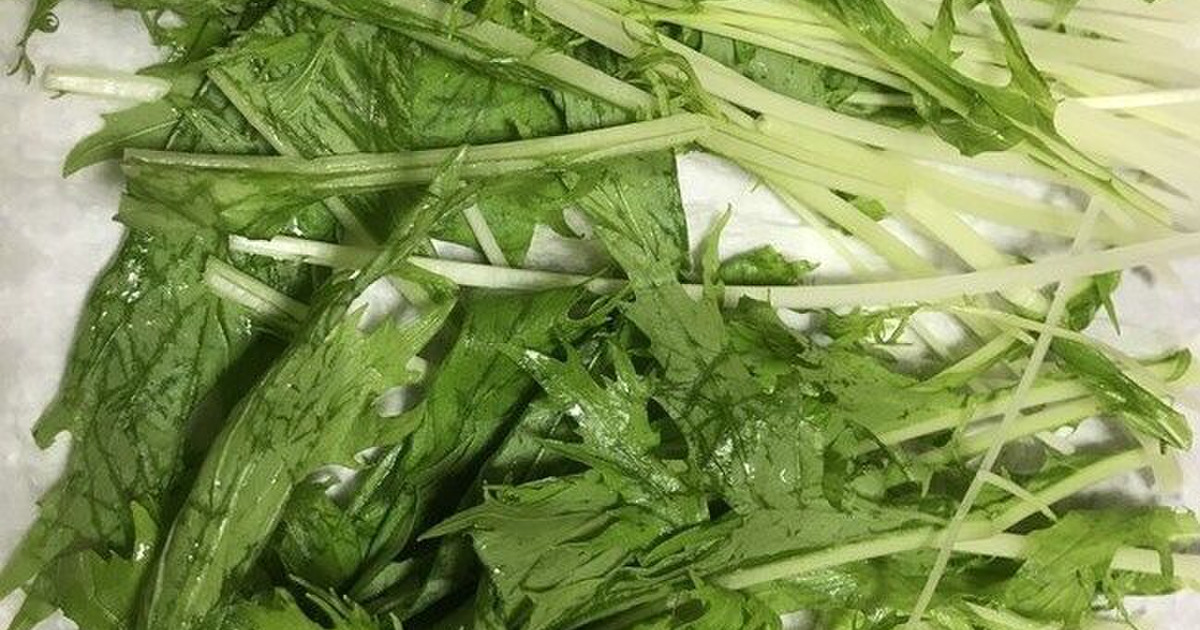 水菜の保存方法 暮らしニスタ