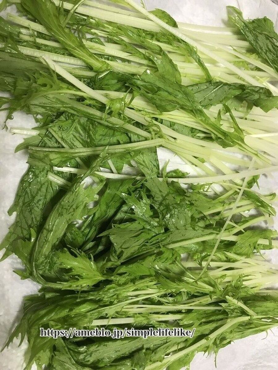 水菜の保存方法 暮らしニスタ 水菜の保存方法 暮らしニスタ