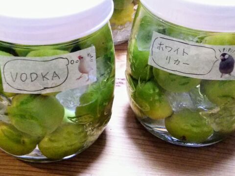 100均のマスキングテープを梅酒瓶のラベルに Vodka ホワイトリカー 2種類の梅酒づくり 暮らしニスタ