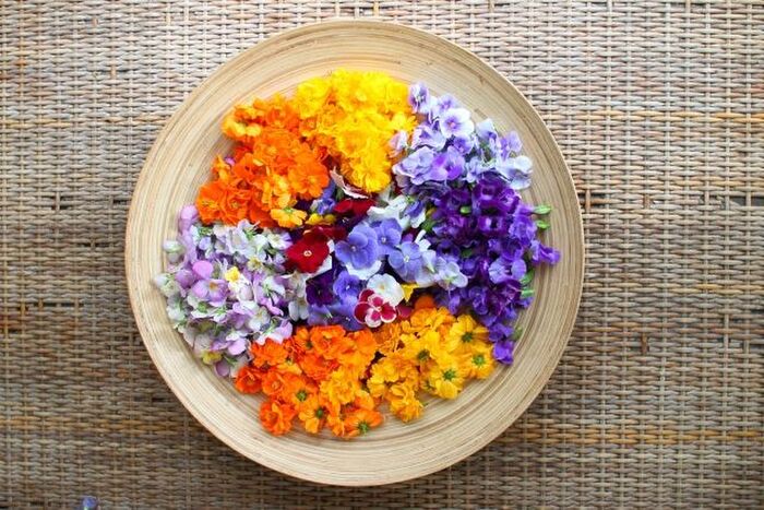 食べられるお花 エディブルフラワー を使った彩りメニュー いつもの食卓を特別にしよう 暮らしニスタ
