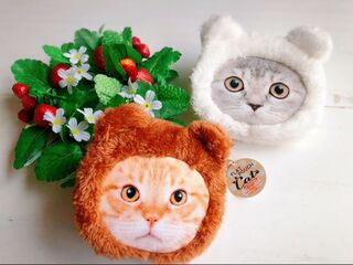 セリア もふもふ可愛い ネコのフラットポーチ 暮らしニスタ セリア もふもふ可愛い ネコのフラットポーチ 暮らしニスタ