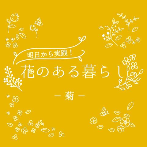 菊をもっと知ろう 基本知識や花言葉 暮らしニスタ 菊をもっと知ろう 基本知識や花言葉 暮らしニスタ
