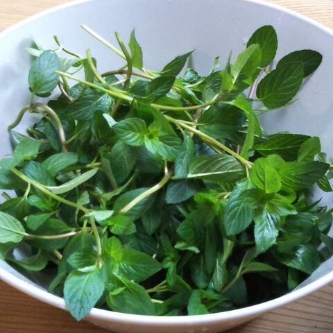 アイマスク チョコレートミントのハーブ風呂で瞑想 なぞらない写経 心身リラックス 暮らしニスタ アイマスク チョコレートミントのハーブ風呂で瞑想 なぞらない写経 心身リラックス 暮らしニスタ