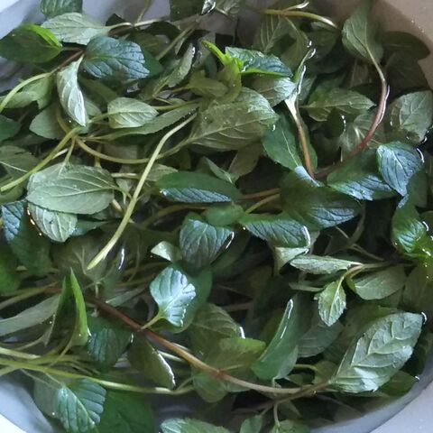 アイマスク チョコレートミントのハーブ風呂で瞑想 なぞらない写経 心身リラックス 暮らしニスタ アイマスク チョコレートミントのハーブ風呂で瞑想 なぞらない写経 心身リラックス 暮らしニスタ