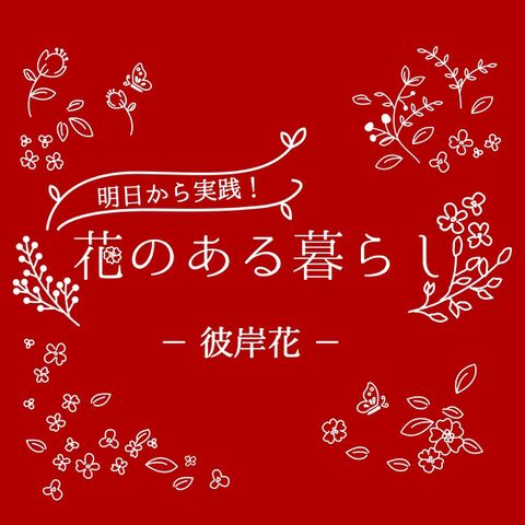 彼岸花 リコリス をもっと知ろう 花言葉や園芸情報 暮らしニスタ 彼岸花 リコリス をもっと知ろう 花言葉や園芸情報 暮らしニスタ