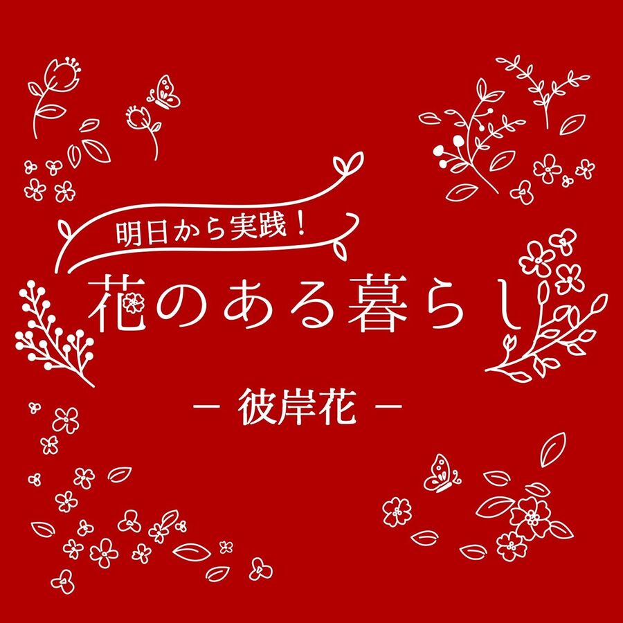 彼岸花 リコリス をもっと知ろう 花言葉や園芸情報 暮らしニスタ 彼岸花 リコリス をもっと知ろう 花言葉や園芸情報 暮らしニスタ