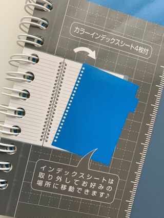 100均一で超優秀 インデックス付ノート 暮らしニスタ 100均一で超優秀 インデックス付ノート 暮らしニスタ