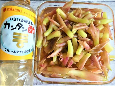 茎みょうがのカンタン酢漬け 暮らしニスタ 茎みょうがのカンタン酢漬け 暮らしニスタ