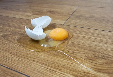 生卵をうっかり落として割ってしまったら スッキリきれいになる掃除法はコレ 暮らしニスタ 生卵をうっかり落として割ってしまったら スッキリきれいになる掃除法はコレ 暮らしニスタ