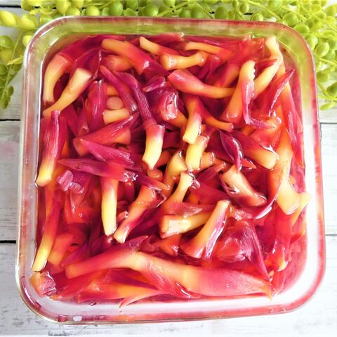 茎みょうがのカンタン酢漬け 暮らしニスタ 茎みょうがのカンタン酢漬け 暮らしニスタ