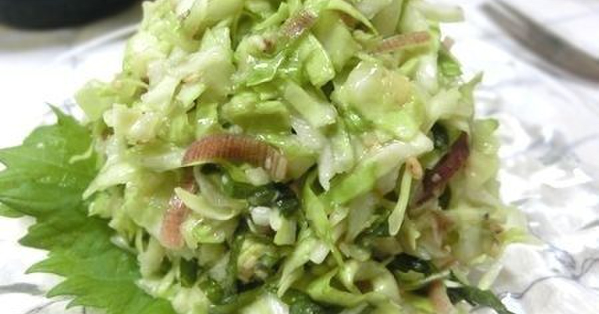 マヨ要らず やみつきの和風コールスロー 暮らしニスタ マヨ要らず やみつきの和風コールスロー 暮らしニスタ