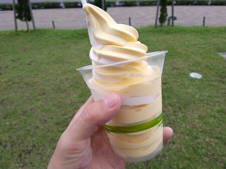【この夏絶対食べたい】コストコのトロピカルソフトクリームが超絶品