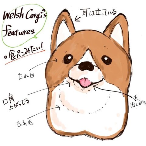 羊毛フェルトのコーギーくん 作ってみた 暮らしニスタ